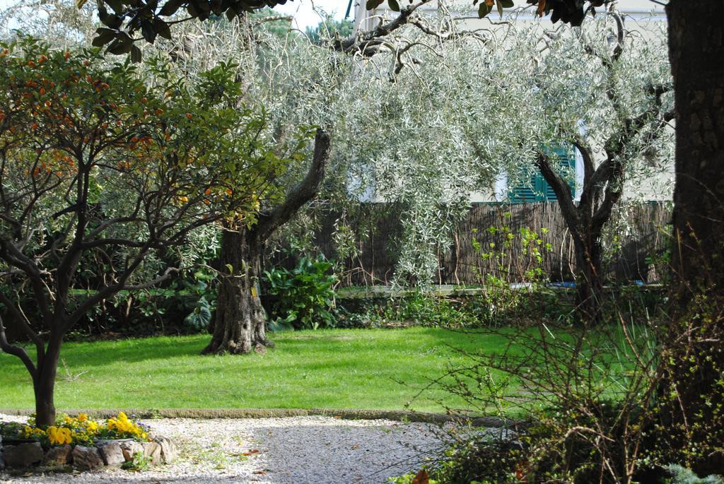 Bed and Breakfast Casa Simonetti Торре-дель-Лаго-Пуччини Экстерьер фото